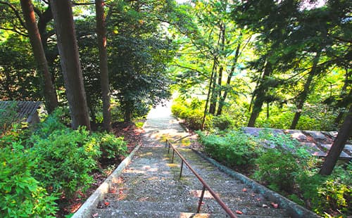 法藏寺について