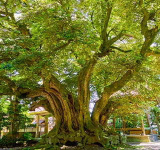 パワースポット